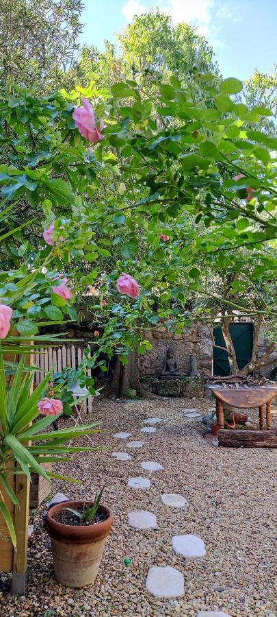 Villa Fontilha Usclas-l'Herault Bagian luar foto